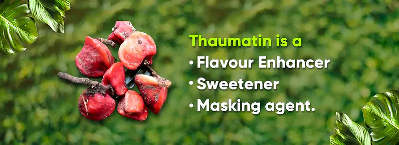 Box - Run Zun - Master