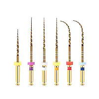 Tapri Glasses -Rang Barse - Master